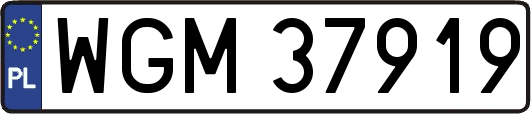 WGM37919