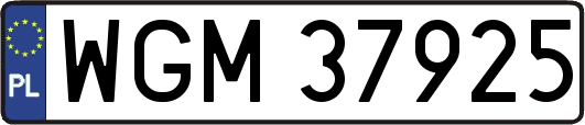 WGM37925