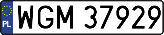 WGM37929