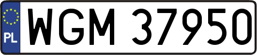 WGM37950