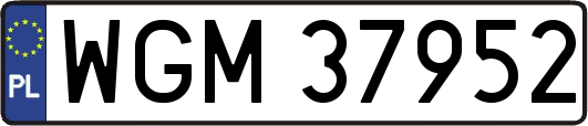 WGM37952