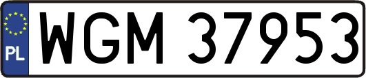 WGM37953
