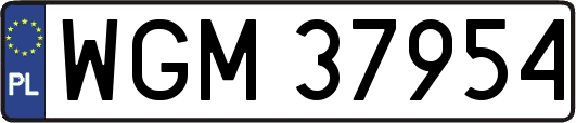 WGM37954