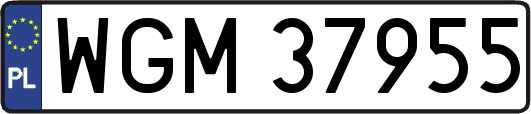 WGM37955