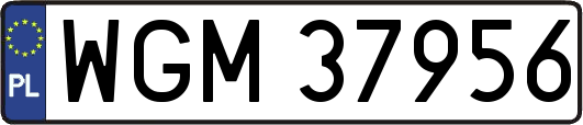 WGM37956
