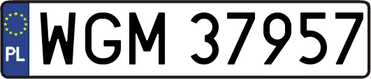 WGM37957