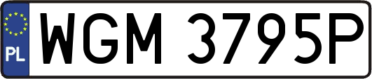 WGM3795P