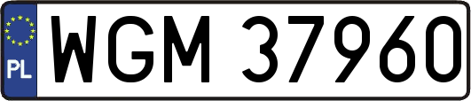 WGM37960