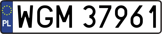 WGM37961