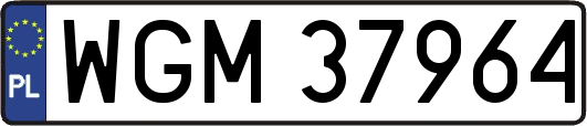 WGM37964