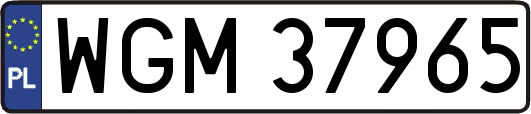 WGM37965