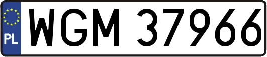 WGM37966