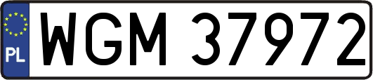 WGM37972