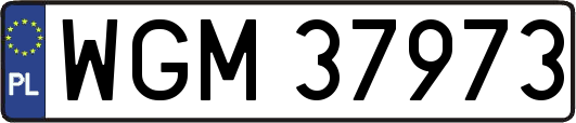 WGM37973