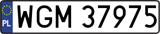 WGM37975