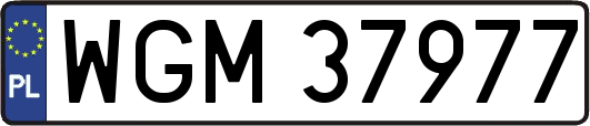 WGM37977