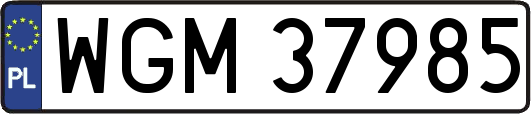 WGM37985