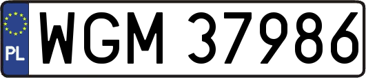 WGM37986