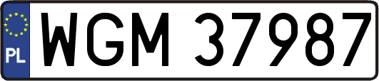 WGM37987