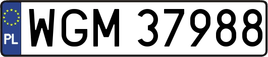 WGM37988
