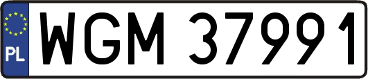 WGM37991