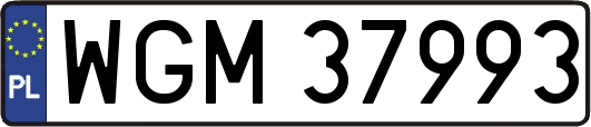 WGM37993