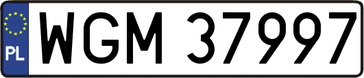 WGM37997
