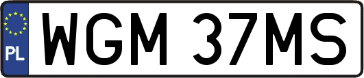 WGM37MS
