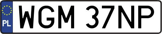 WGM37NP