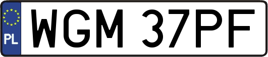 WGM37PF