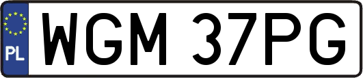 WGM37PG