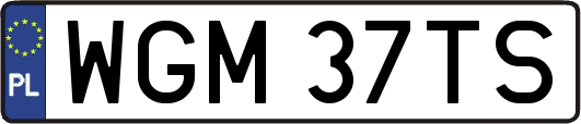 WGM37TS