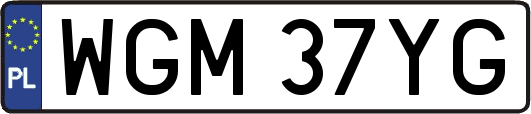 WGM37YG