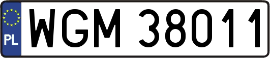 WGM38011
