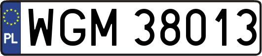 WGM38013
