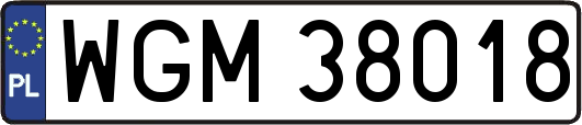 WGM38018