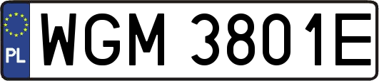WGM3801E