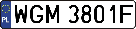 WGM3801F