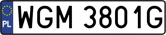 WGM3801G