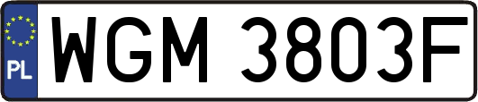 WGM3803F