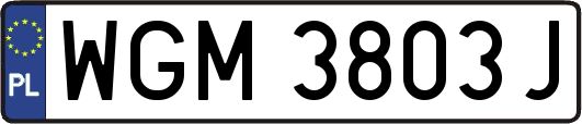WGM3803J