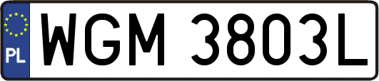 WGM3803L