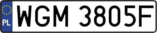 WGM3805F