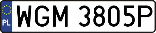 WGM3805P
