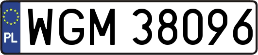 WGM38096