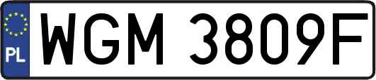 WGM3809F