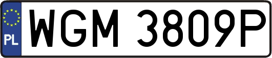 WGM3809P