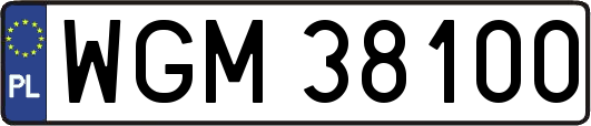 WGM38100