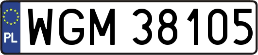WGM38105