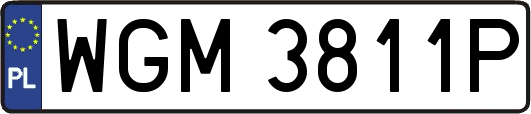 WGM3811P
